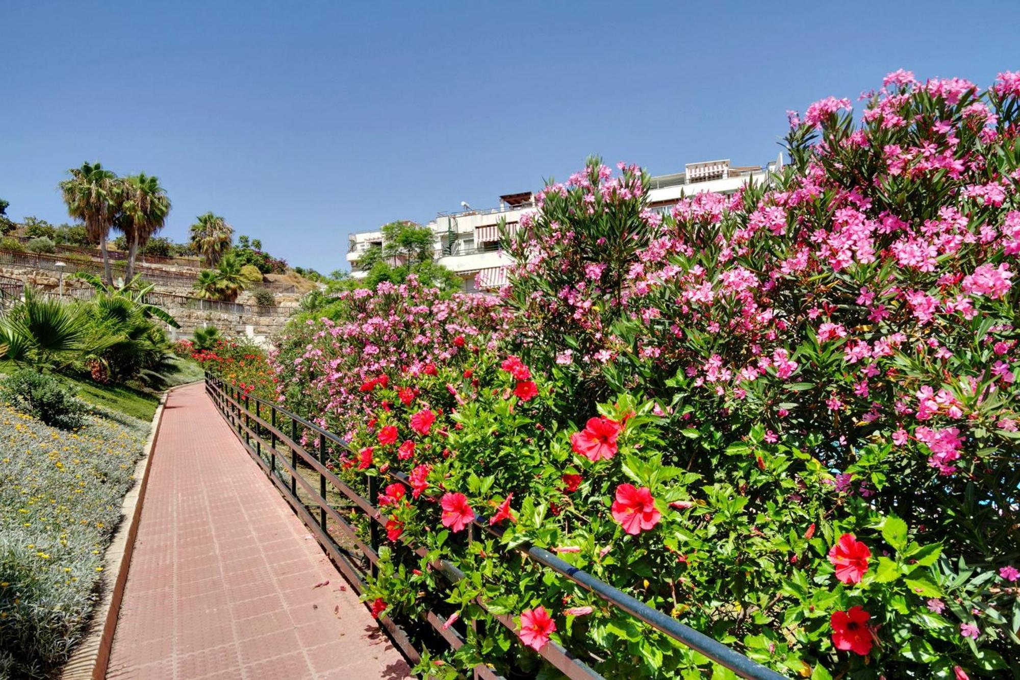 Del Parque Flats - Golf & Beach Terrace Malaga Luaran gambar